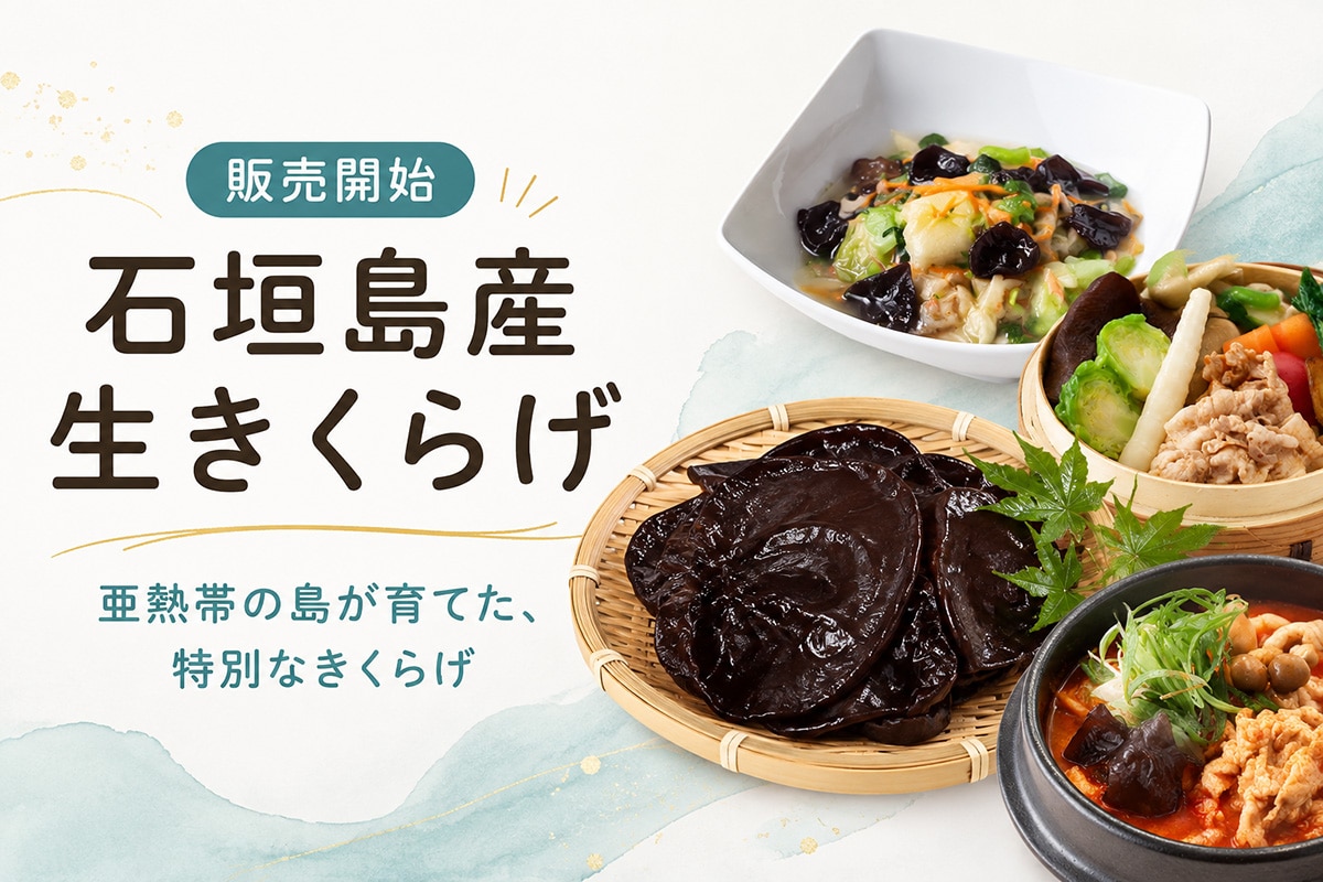 生きくらげ