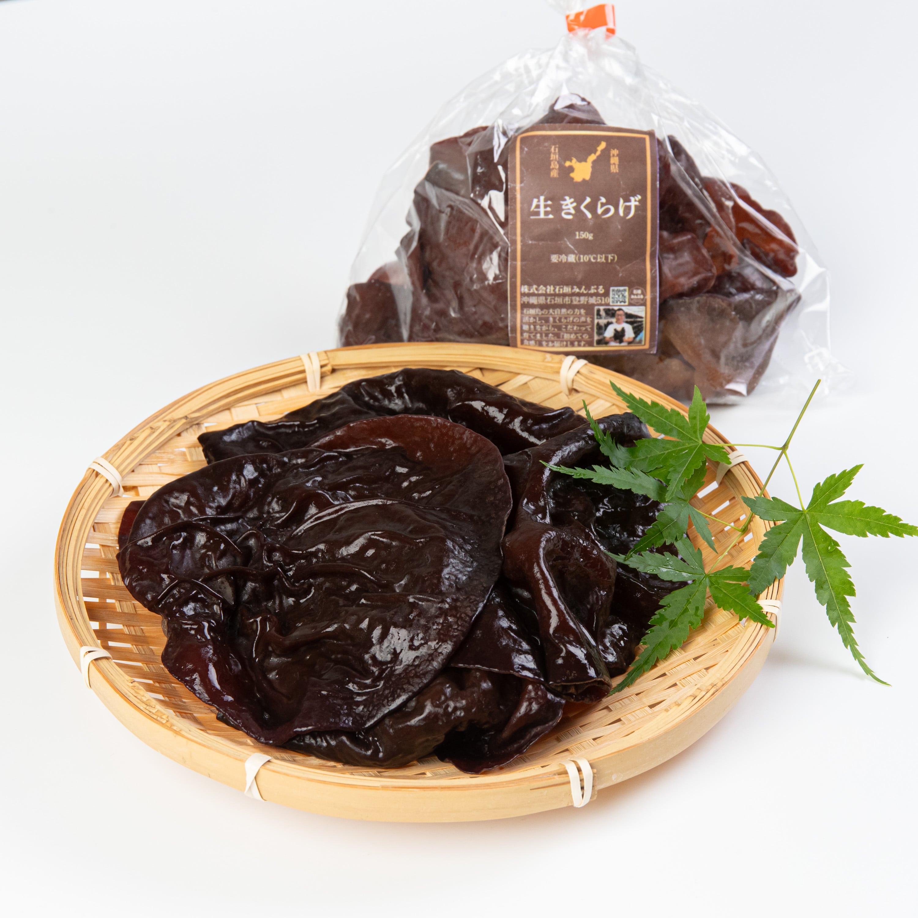 石垣島産 生きくらげ